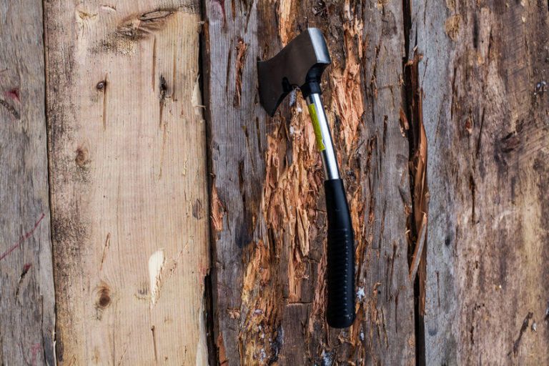 TOP 13 Best Throwing Axes & Tomahawks Reviewed 2024