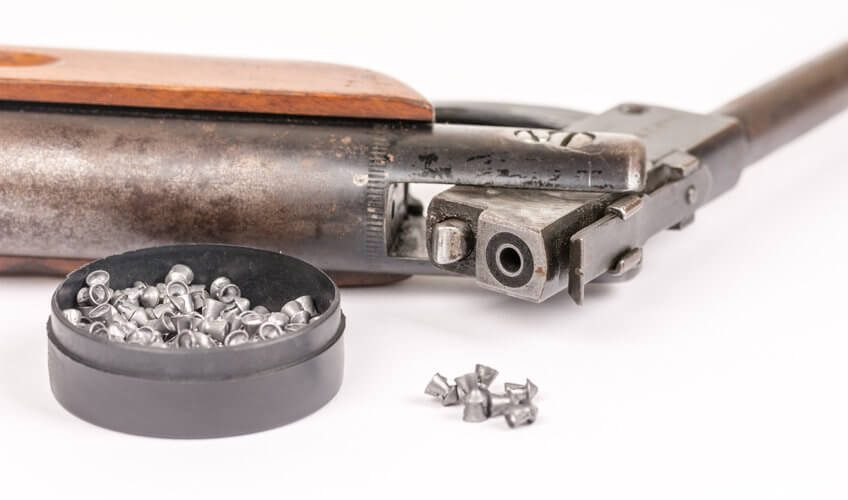 airgun with ammo on table