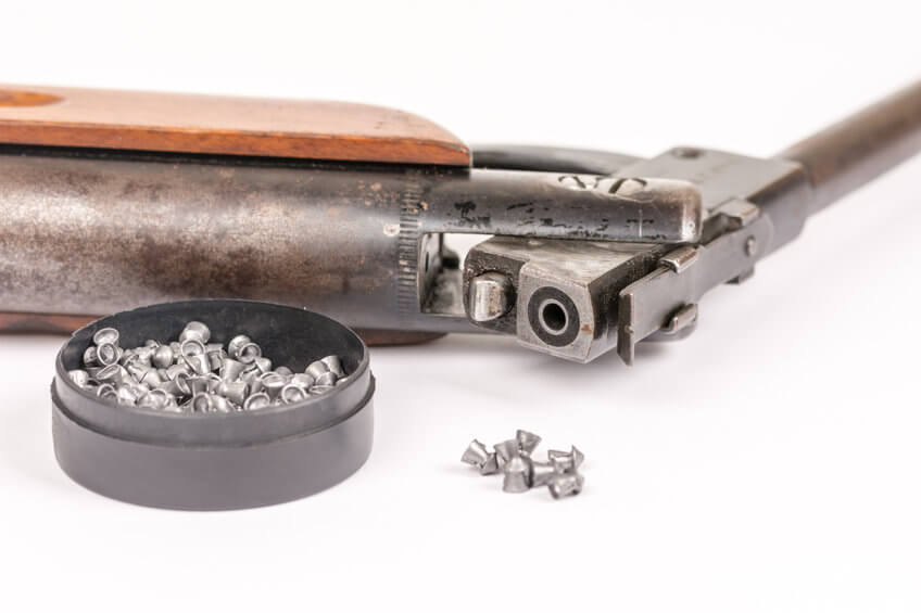 airgun with ammo on table