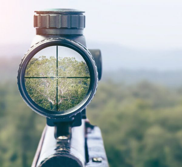 look thru rifle scope